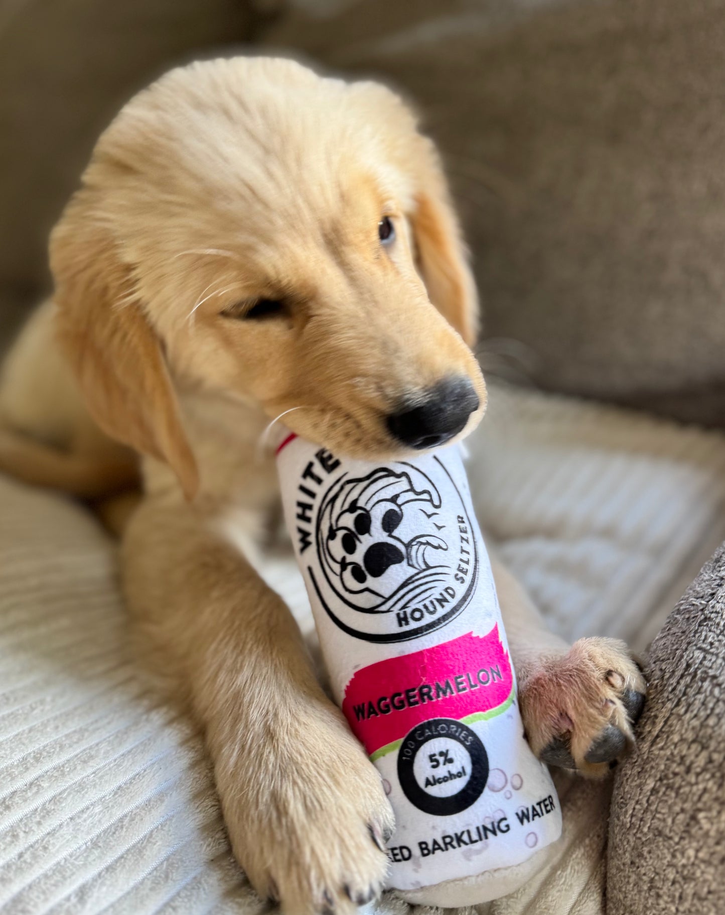 White Paw - Waggermelon Squeaker Dog Toy